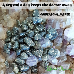 Guinefowl Jasper ( Tumbled )
